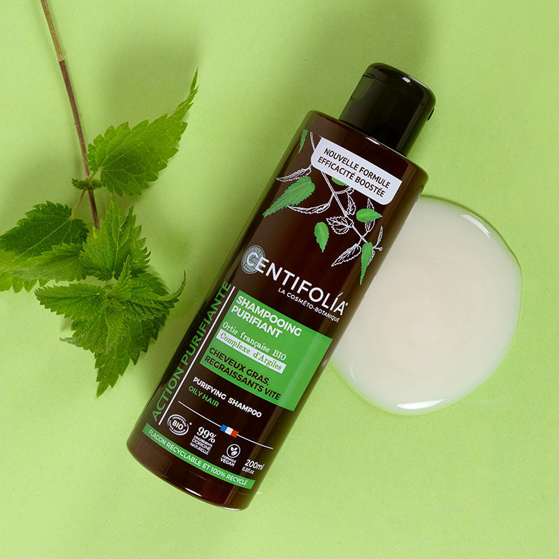Centifolia Purifying Shampoo - Oily Hair (Wholesale) Centifolia