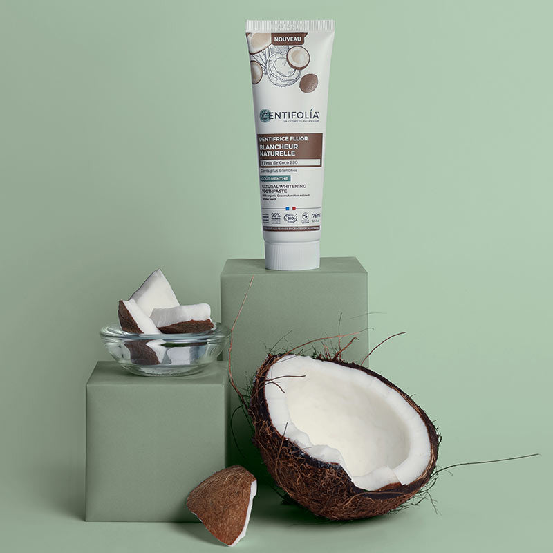 Centifolia Natural Whitening Toothpaste (Wholesale) on a green block with coconut around it, which is a key ingredient
