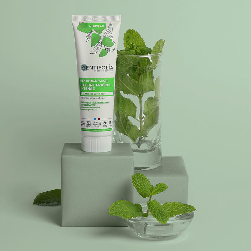 Centifolia Fresh Breath Toothpaste (Wholesale) on a pastel green block beside a glass with mint leaves inside