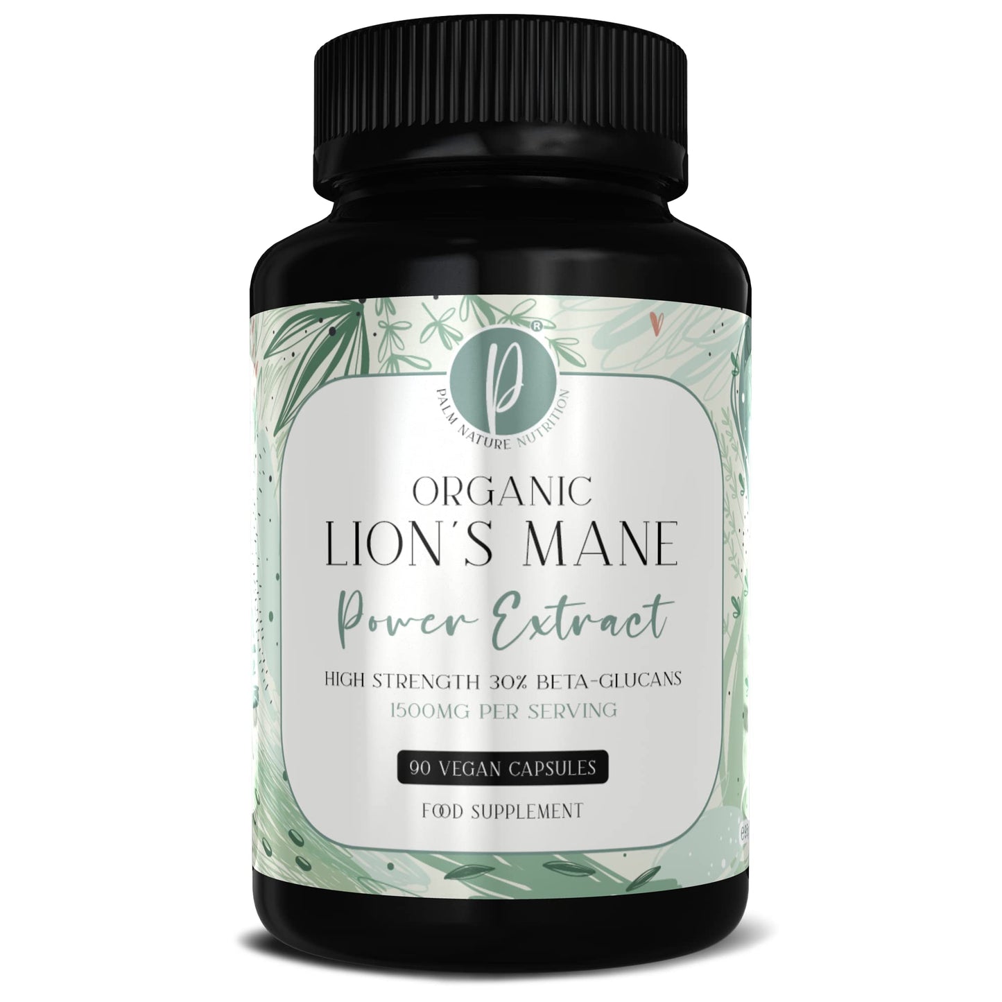 Organic Lion's Mane Powder Extract